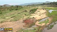 Bratty African Hottie Pov Pussy Wrecked By White Boyfriend In The Park