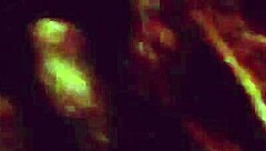 couple where the female gives a blowjob to a big cock