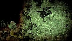 Vintage Drawings Collection