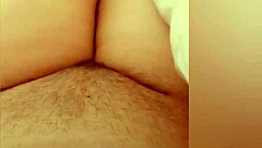 Greta Goes To The Bathroom And Then Warms Up Under The Blanket!