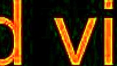 couple where the female gives a blowjob to a big cock