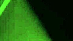 Oil Wrestling Turns Into Lesbian Sex!