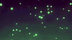 fingered and fucked anime teen 18+ hardcore hentai cartoon japanese big tits sex masturbation asian fucking