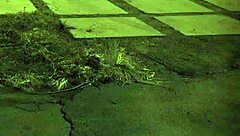 i share extreme experiences from the past