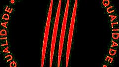 Vitoria Beatriz in hot action in a 1 on 1 scene with a big cock lover