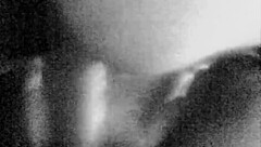 Vintage Series IV Evokes Nostalgic Emotions