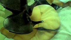 Jade Vixen Black Hose Off