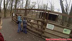 European Amateur POV Screwed in Ass Hard!