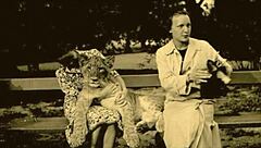 vintage erotic illustrations tell tales of forbidden desires