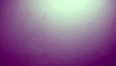 petter dog fucks sheila on the sofa and she loves it