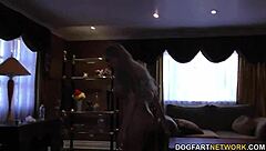 Nina Elle Gets Gangbanged By Black Guys For Facial Cum