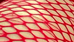 i had unlimited sex on the beach with a latina milf