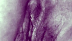 vintage compilation of horny females getting wet pussy fucking and cumshots