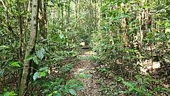 Caras fudendo no parque, fiquei duro e comi a putinha!