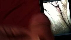 tribute for cyberdebb