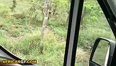 African nympho girlfriend dominates with deepthroat and tit worship