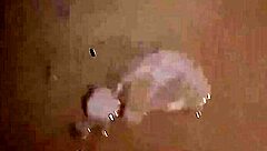 Married Sluts Creampie Me But Hide Dicks. Waiting For More Cum In Mouth.