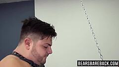 Chubby bear fucks hairy bottom lover hard.