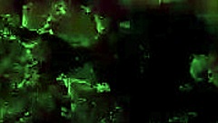 Vintage Erotic Illustration From Antique Times!