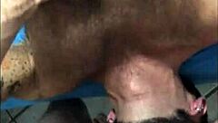 Gay blowjob and hardcore sex with furry monster cock lovers