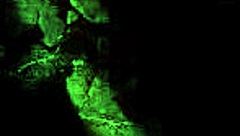 Vintage Erotic Illustration