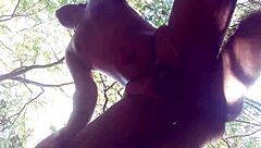 Brazilian couple fucks wildly in the woods with big cocks!