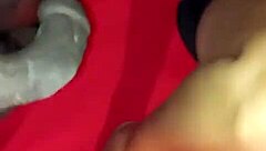 young married latina craves big black cock action