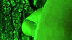 Let's play Paradise Trails VR part 2