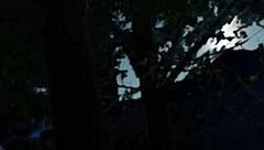 Let's play Paradise Trails VR part 2