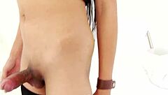 the ladyboy babe is solo tugging in stockings