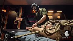 Is the Bitch Tied and Sodomized?