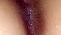 The Marvels Experiences Returns With New Adventures