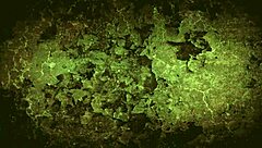 Vintage lesbian threesome from erotic confessions