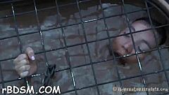 T Beauty's Brunette Slave Gets Holes Fucked With Toys In BDSM.