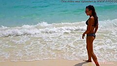 lita phoenix starts thailand adventures, join twitter