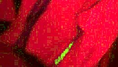 kenzie reeves gets stuck and fucks her friend hard. adult time captures every skinny detail!