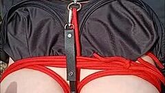 2025 स्लेव ब्रॉसेलियंड फॉरेस्ट में रॉ सबमिशन के लिए बाउंड!