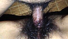 Chất lừ nh� nhiều l�ng lồn với sex anal