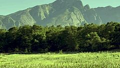 mistress april humiliates slave with strapon and toys