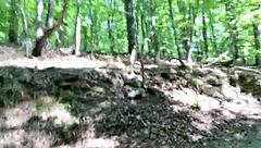 Clitlicker662 Goes Wild in Forest!