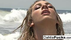 hot dahlia sky masturbates her pussy in solo compilation, teasing with tits and ass