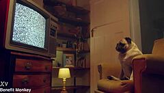 Perfect blonde Candee Licious shows off her body in lingerie!