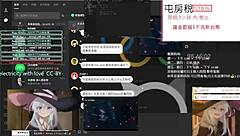 playing pc game with cute pussy companion