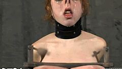 Hey, let's chat about these sadomasochism stories with sucking and hardcore group fun 😈