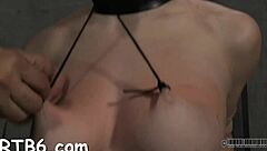 Hey, let's chat about these sadomasochism stories with sucking and hardcore group fun 😈