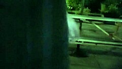 shemale ting xuan flashes cock in community garden spot