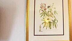 Naughty British College Student Seduces Step-Dad for a Wild Finish