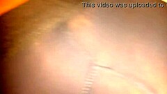 Is this heavy duty booty and booby ready?