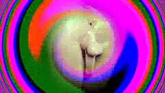 sissy training sis-256, dumber the better, isn't it?