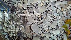 Sofi feels relaxed reading her book by the sea in POV